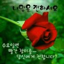수요일 - 종로구 인사동길 36 | 수요일