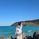 고성리-12 | 👉 12월 제주도 신혼여행 2박3일 코스 (계획없이간 신행,맛집추천)