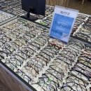 안경공장 쇼룸 이미지