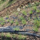 당곡농장 이미지