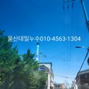 백조탕 - 북구 시랑로 160 | 백조탕