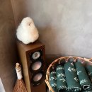 고메펫(gourmet pet) | [고양시 일산 카페 추천] 서울근교 일산 베이커리카페 예쁜 정원이 있는 카페 피콕그린 포레스트카페 후기