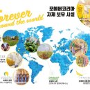 포에버코리아(유)