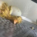 청계천 4호 화장실 | 26 ИΛƓ♡YΛ (2)