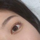 더블링 | [안산] 안산속눈썹 '더블링눈썹&amp;속눈썹 안산점' 속눈썹펌 후기