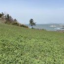 스테이 옥도 이미지