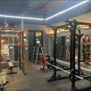 디나휘트니스 이미지