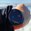 그리코리아(주) | 주말 다녀오기 좋은 인천배낚시 국제유선 해피호 주꾸미 후기 [25.11.15]