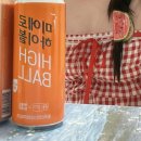 마이도물회