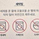 청아세탁 이미지