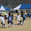 백마강생활체육공원 축구장 이미지