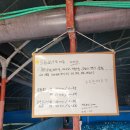 활어왕