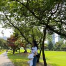 중부대로1R | 2023 NH투자증권 레이디스 챔피언십 갤러리 후기