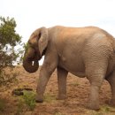 ￦500#game 이미지