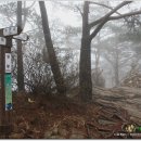 고래재