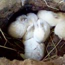 송우농장 이미지