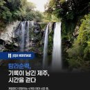 탐라순력