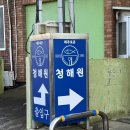 신양로 | 🐟 제주 맛집 갈치조림 찾는다면, 성산 아쿠아플라넷 근처 ‘제주로운청해원’ 방문 후기