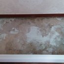 보수 에코팰리스 이미지