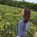 선인장을 부탁해 이미지