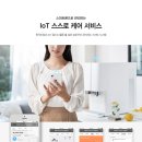 서정얼음