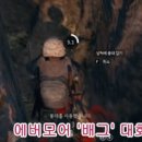 에버모어 (주)