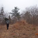 화산면사무소 이미지