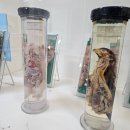 창조자연사박물관 | 경기도 시흥 공룡 좋아하는 아기랑 한번은 가볼만한 창조자연사박물관 솔직후기