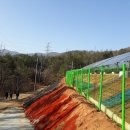 선암태양광발전소 이미지