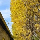 통일로1267번길 이미지