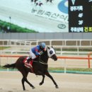 연승축산