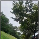 해오름근린공원 3 | 인천 남동구 논현동 ‘늘솔길공원’ &amp; ‘해오름근린공원’ 2025년 9월 22일