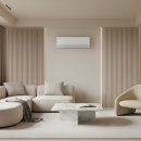 올리브안경갤러리 이미지