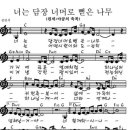 담장너머로뻗은나무