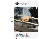 야키토리 화화 | [상현역] 광교 야키토리 화화 인스타보고 다녀온 후기