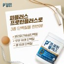 피플플러스