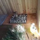 한방쑥사우나 이미지