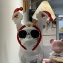 나이시베이크샵 이미지