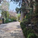 신서세탁 | 직업체험 비누클래스 &#39;세탁비누&#39; 만들기_신서고등학교 ;; 비누공방, 서울비누공방, 수앤수공방