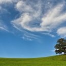 광교미소모아내과의원 이미지