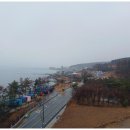 바다의기분풀빌라 이미지