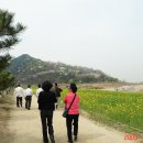 상록초교 이미지