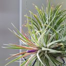 마도보건지소 이미지