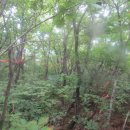 둔전리경로당 이미지