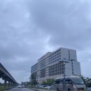 완벽했던 서울근교 영종도 호캉스 추천 네스트호텔 후기