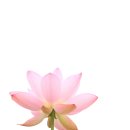 오석산정신요양원 이미지