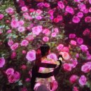 선사하다 | [전시 blog] 소리와 미디어로 몰입을 선사하다, 부산 아르떼뮤지엄 : PINKMOON 방문 후기