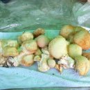 경계 境界 이미지