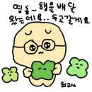 모태안여성병원 | 청주 모태안여성병원 가임력검사 후기 (여자 난소 검사, 남자 정자 검사) ㅣ 지원금 청구 방법