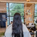 비땅기헤어 이미지